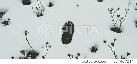 Collage features a single footprint in snow, hidden by swirling snowflakes and delicate flowers. Collage features a single footprint in snow, hidden by swirling snowflakes and delicate flowers. 134467214