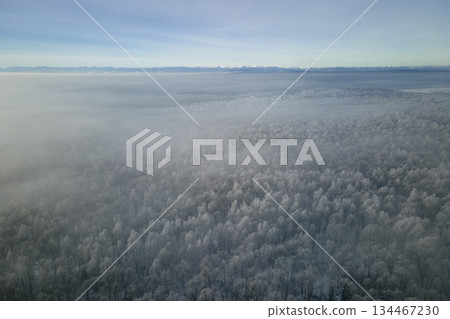 Aerial view of snow covered white forest with frozen trees in cold winter. Dense wild woodland in wintertime Aerial view of snow covered white forest with frozen trees in cold winter. Dense wild woodland in wintertime 134467230
