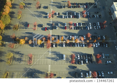 Aerial view of many colorful cars parked on parking lot with lines and markings for parking places and directions. Place for vehicles in front of a strip mall plaza 134467261