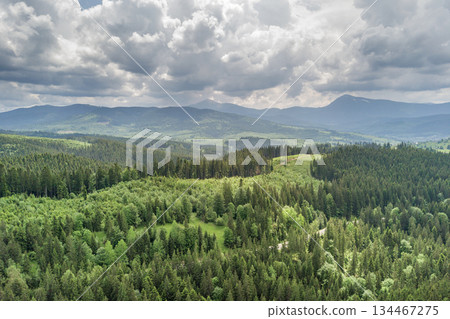Aerial view of green Carpathian mountains covered with evergreen spruce pine foreston summer sunny day. Aerial view of green Carpathian mountains covered with evergreen spruce pine foreston summer sunny day. 134467275