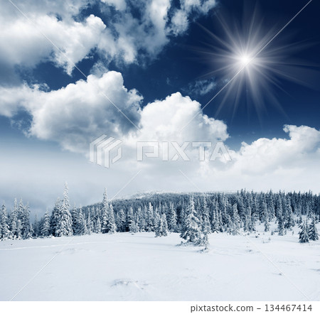 Winter 134467414