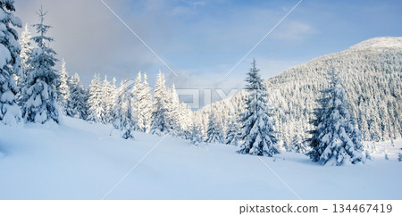 Winter 134467419