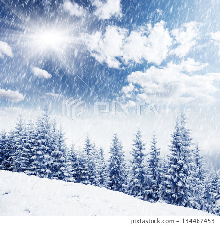Winter 134467453