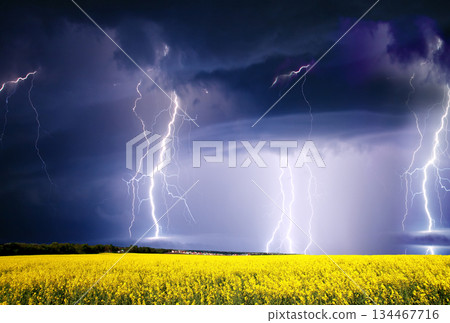 storm storm 134467716