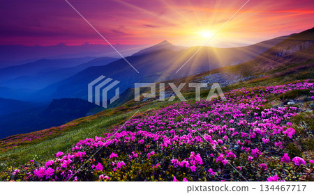 mountain landscape 134467717