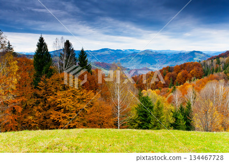 mountain landscape 134467728