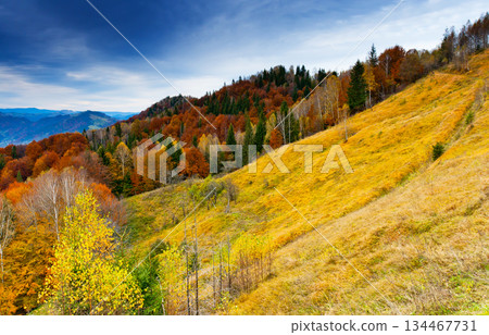 mountain landscape 134467731