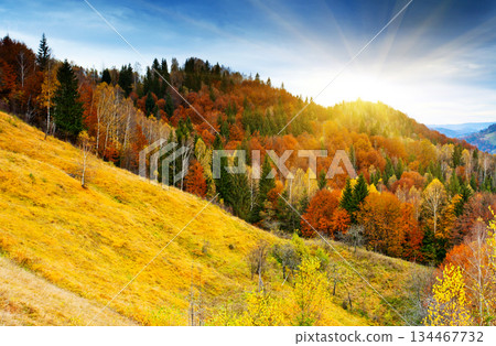 mountain landscape mountain landscape 134467732