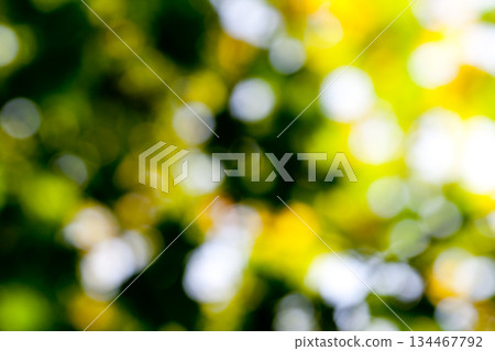 natural background natural background 134467792