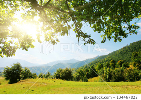 mountain landscape mountain landscape 134467822