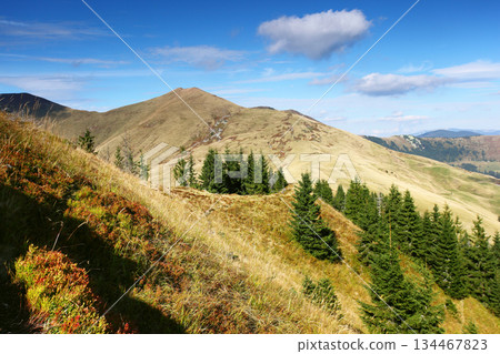 mountain landscape mountain landscape 134467823