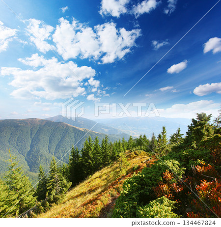 mountain landscape mountain landscape 134467824