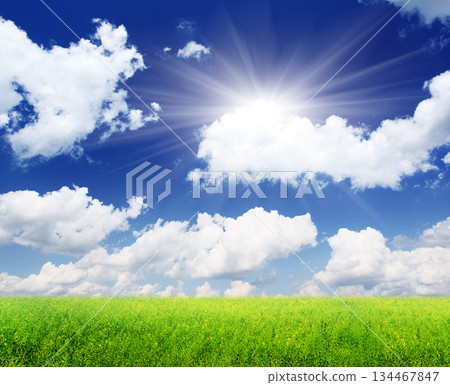 field field 134467847