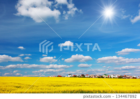 field field 134467892
