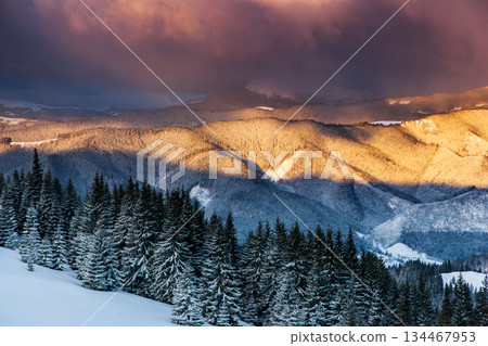 winter winter 134467953