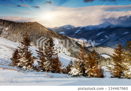 winter winter 134467960