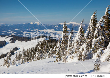 winter winter 134468012