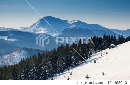 winter winter 134468040