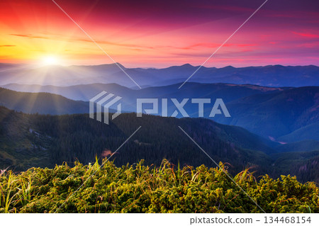 sunset 134468154