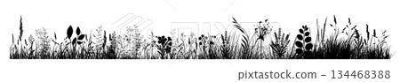 Silhouette of grass horizon. Border, meadow springtime, Hand drawn. Not AI, vector illustration Silhouette of grass horizon. Border, meadow springtime, Hand drawn. Not AI, vector illustration 134468388