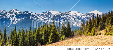 mountain mountain 134468406