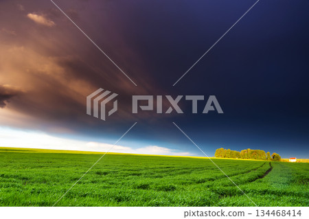 meadow meadow 134468414