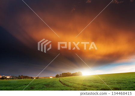 meadow meadow 134468415