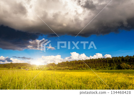 field field 134468428