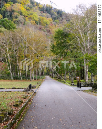 日光國立公園的丸沼 134468572