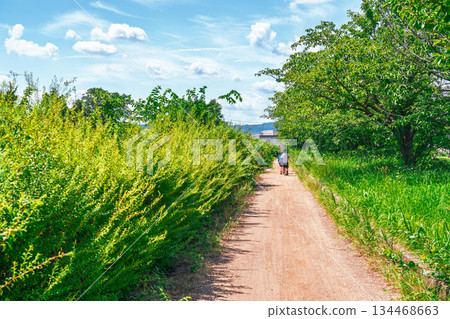 一個男孩在陽光明媚的暑假在河中玩耍 134468663