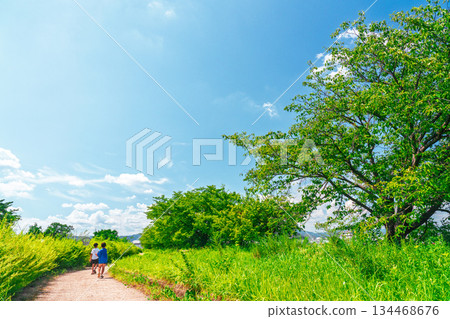 A boy playing in the river in the sunshine during a fun summer vacation 134468676