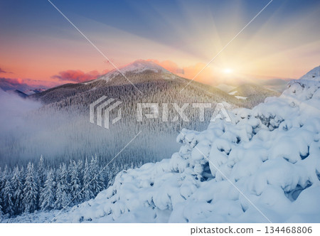 winter winter 134468806