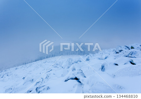 winter winter 134468810