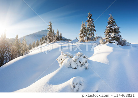 winter 134468821