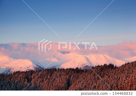 winter winter 134468832