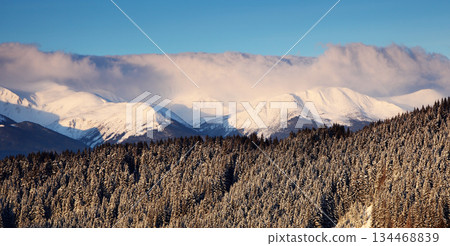 winter 134468839