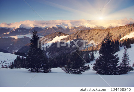 winter 134468840