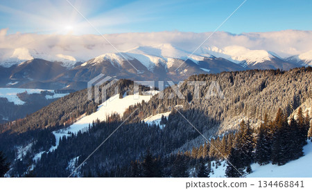 winter 134468841