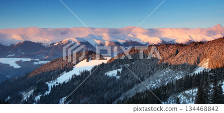 winter 134468842