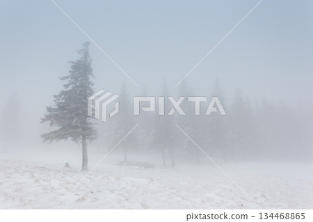 winter 134468865
