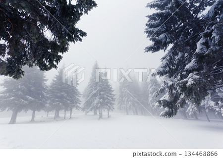 winter 134468866