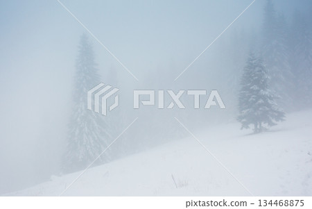 winter 134468875