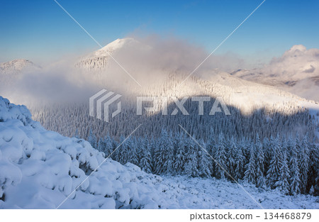 winter winter 134468879