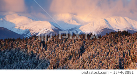 winter winter 134468891