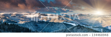 winter winter 134468948