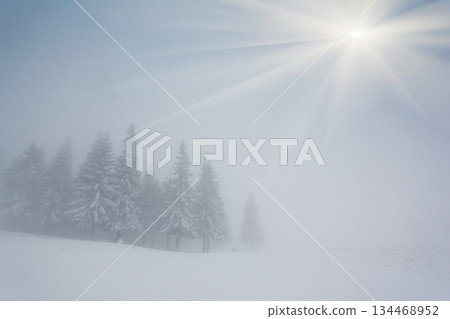 winter winter 134468952
