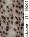 Macro photo of a leopard-colored faux fur coat as a background. 134469205