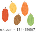 Set of colorful cocoa bean illustrations 134469607