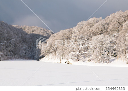 在白雪皚皚的國度,山間清晨寧靜祥和。 在白雪皚皚的國度,山間清晨寧靜祥和。 134469833