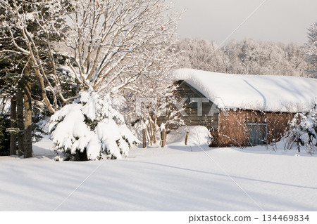 雪後的鄉村，清晨寧靜祥和。一棟房子屋頂上積滿了雪。 134469834